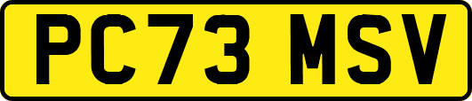 PC73MSV
