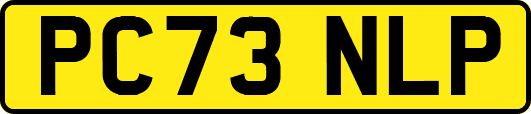 PC73NLP