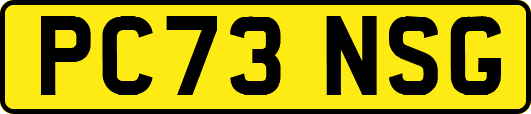 PC73NSG