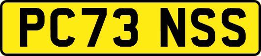 PC73NSS