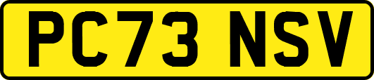 PC73NSV
