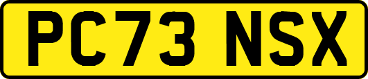 PC73NSX