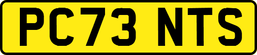 PC73NTS