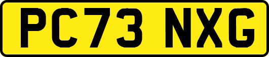 PC73NXG