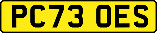 PC73OES