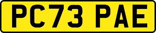 PC73PAE
