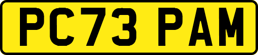 PC73PAM
