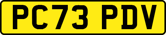 PC73PDV