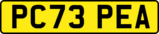 PC73PEA