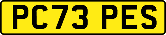 PC73PES