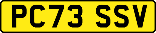 PC73SSV