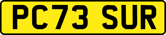 PC73SUR