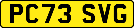 PC73SVG