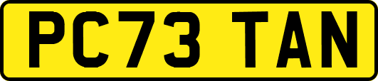 PC73TAN