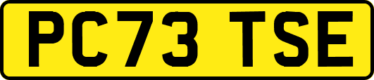 PC73TSE