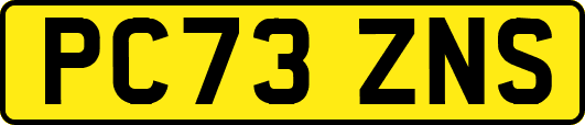 PC73ZNS