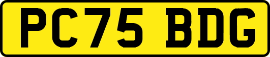 PC75BDG