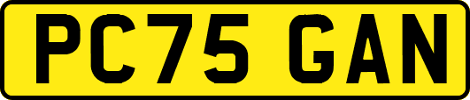 PC75GAN