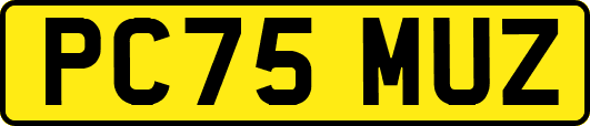 PC75MUZ