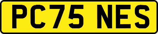 PC75NES