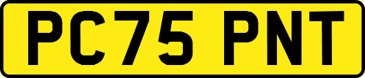 PC75PNT