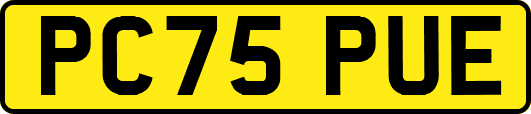 PC75PUE