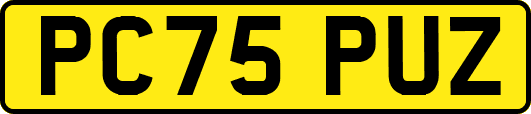 PC75PUZ