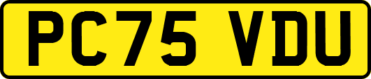 PC75VDU