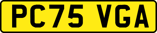 PC75VGA