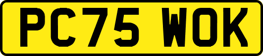 PC75WOK