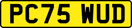 PC75WUD