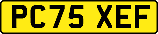 PC75XEF