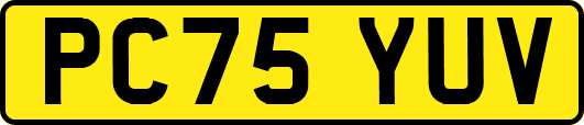 PC75YUV
