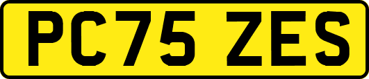 PC75ZES