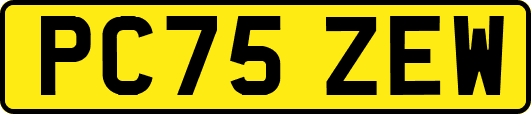 PC75ZEW