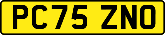 PC75ZNO
