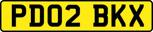 PD02BKX