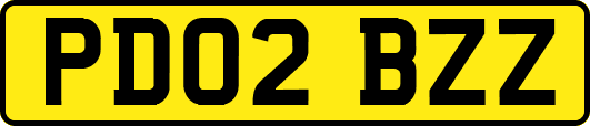 PD02BZZ
