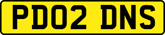 PD02DNS
