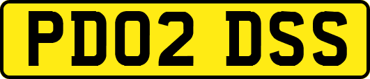 PD02DSS