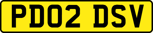 PD02DSV