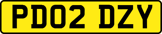 PD02DZY