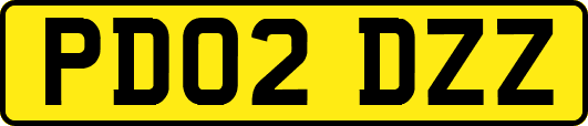 PD02DZZ