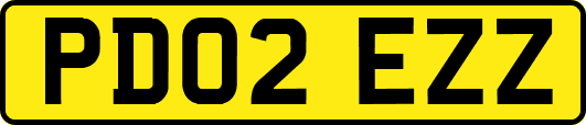 PD02EZZ