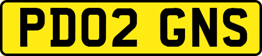 PD02GNS