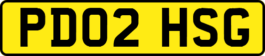 PD02HSG