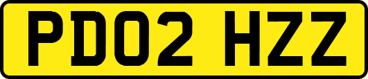 PD02HZZ