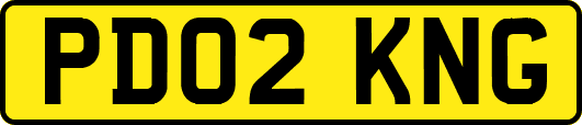 PD02KNG