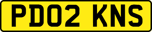 PD02KNS