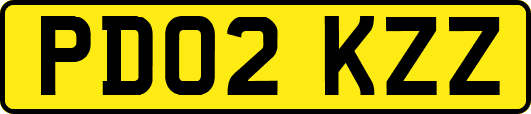 PD02KZZ